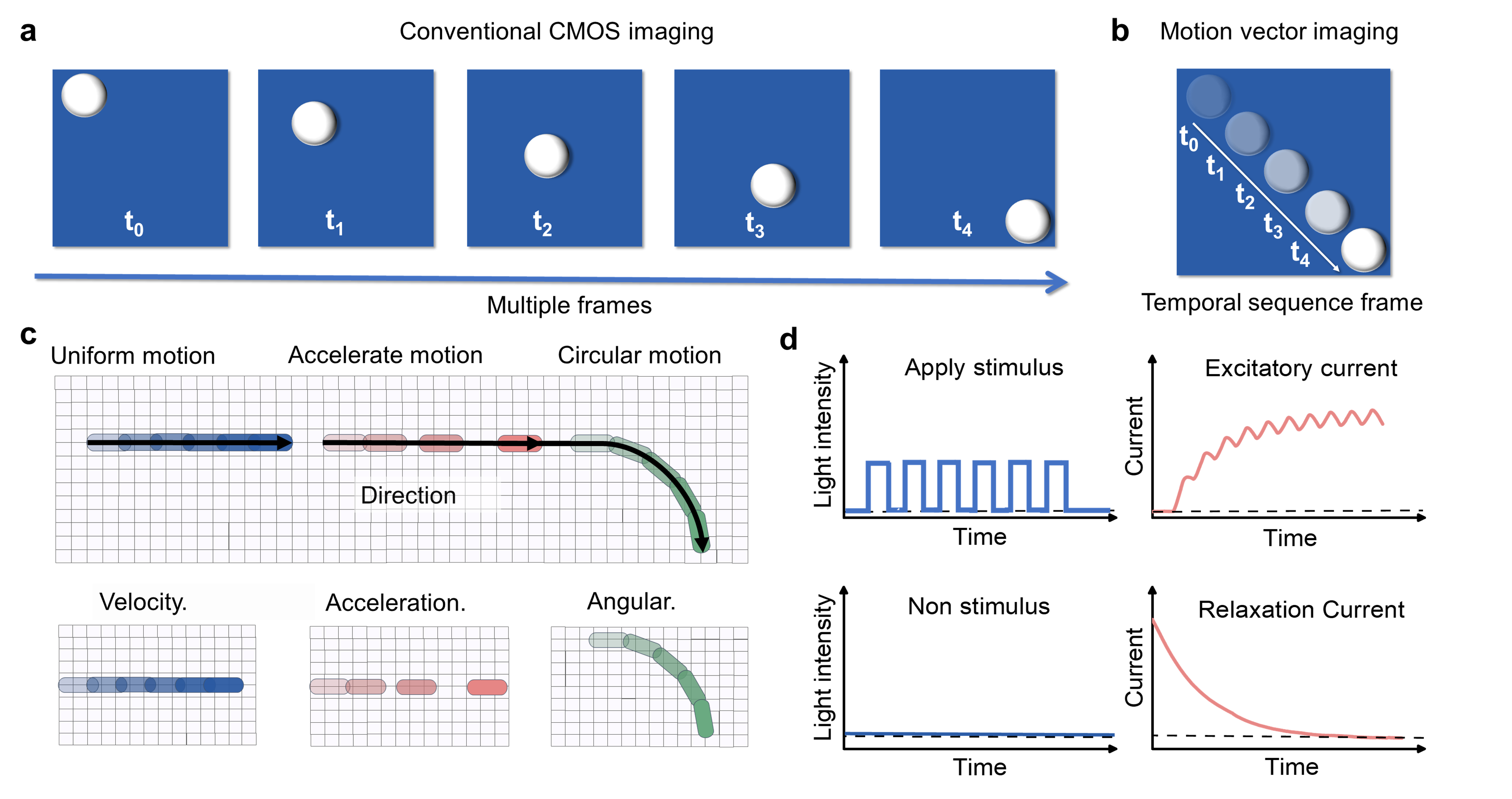 光电学院孟祥悦课题组在类脑视觉芯片方面取得新进展